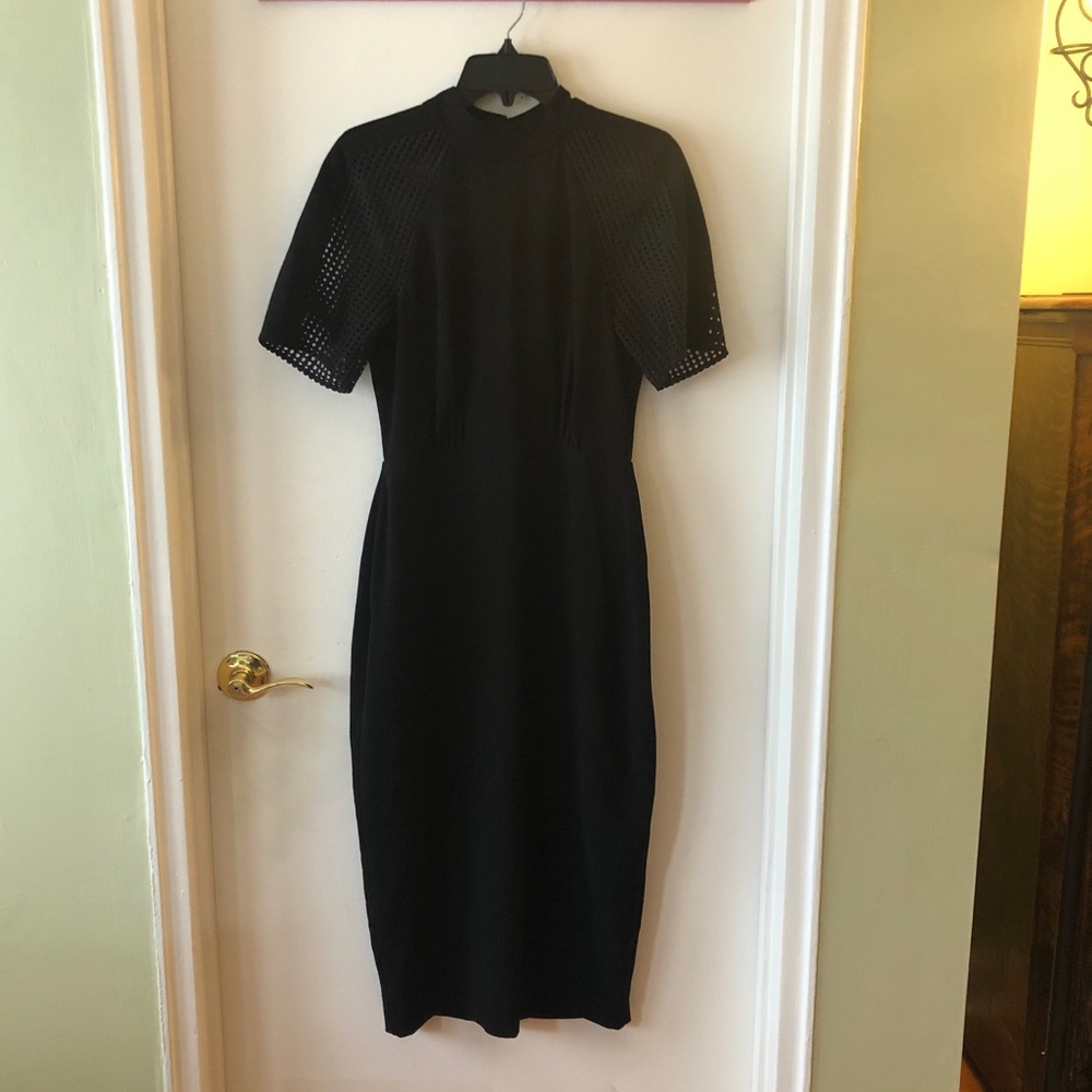 BCBG bodycon dress